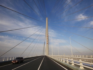  跟团游> 崇明西沙湿地-瀛洲公园观大堤-东平公园2日游>无购物,宿农家