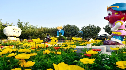  廣州-番禺-百萬葵園汽車1日遊>彩雲 鮮花 全家遊