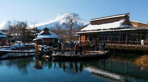 富士山地區 行程描述 全天 忍野八海~山中湖