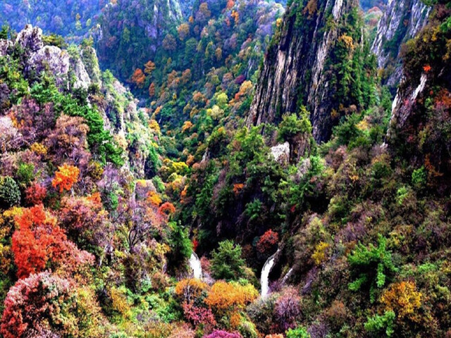  洛阳栾川老君山-追梦谷2日游>含中灵索道往返