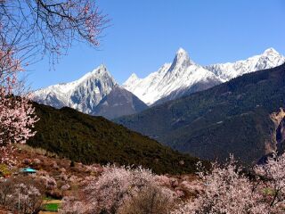  布达拉宫-米拉雪山-林芝-波密6日游>品质纯玩,赏桃花,立减200