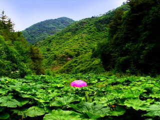  宁夏固原六盘山-野荷谷-平凉崆峒山3日游>银川起止经典三日游